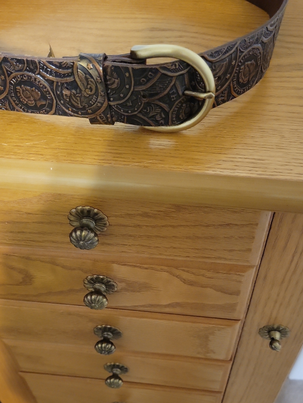 Patricia Nash Coin Brown Leather Belt with Brass Buckle